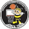 https://img.floppednuts.com/img/basketball/team/e416830f4083698237c559f8988ddb25.png